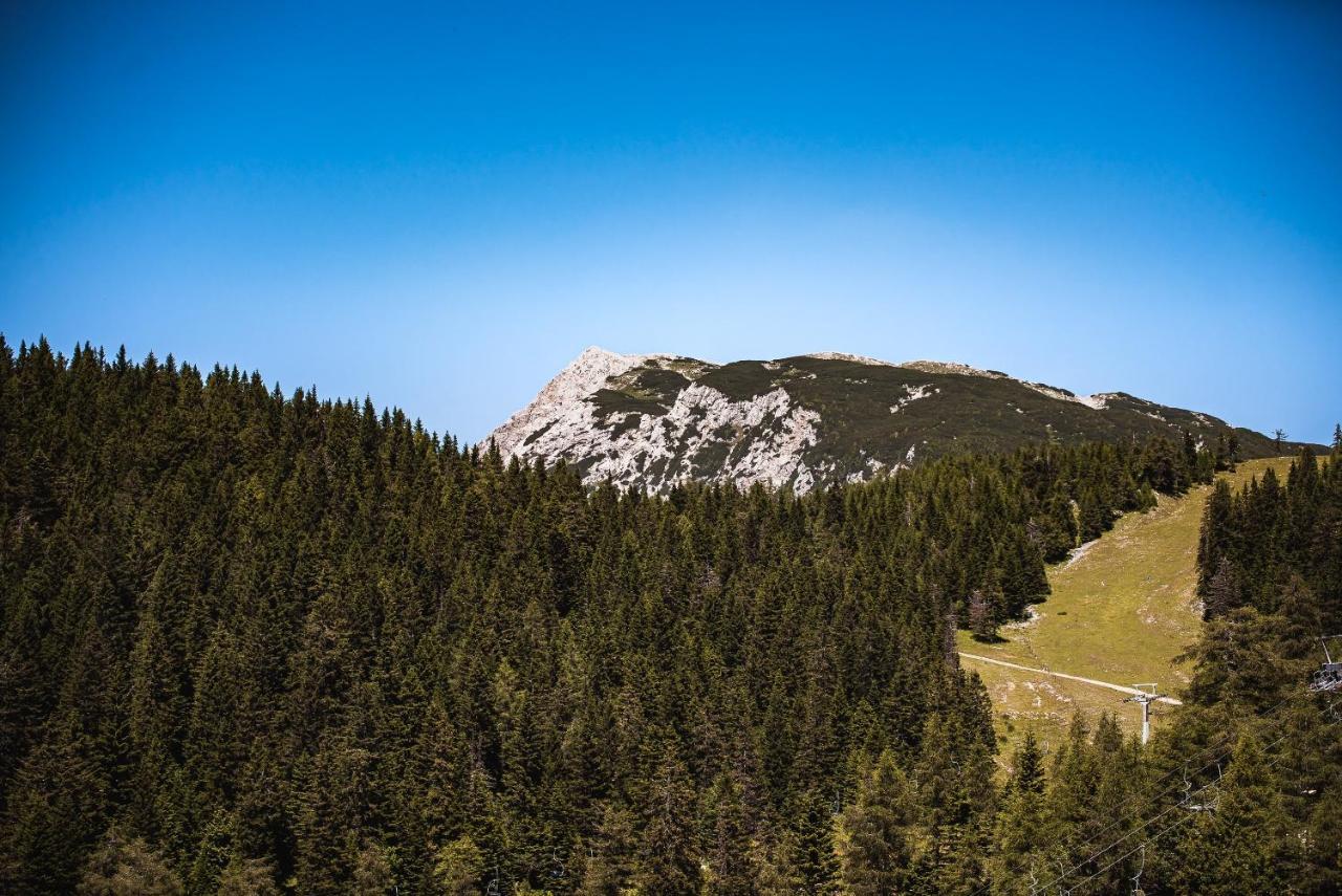 Apartments Zvoh, Krvavec, Ski-in, Ski-out Cerklje na Gorenjskem Extérieur photo
